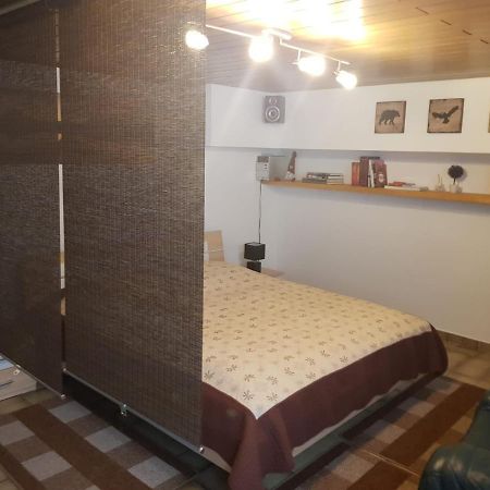 Gemuetliche Ferienwohnung Mit Kamin Und Sauna! Nistertal Luaran gambar