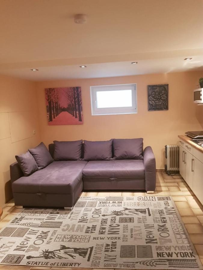 Gemuetliche Ferienwohnung Mit Kamin Und Sauna! Nistertal Luaran gambar