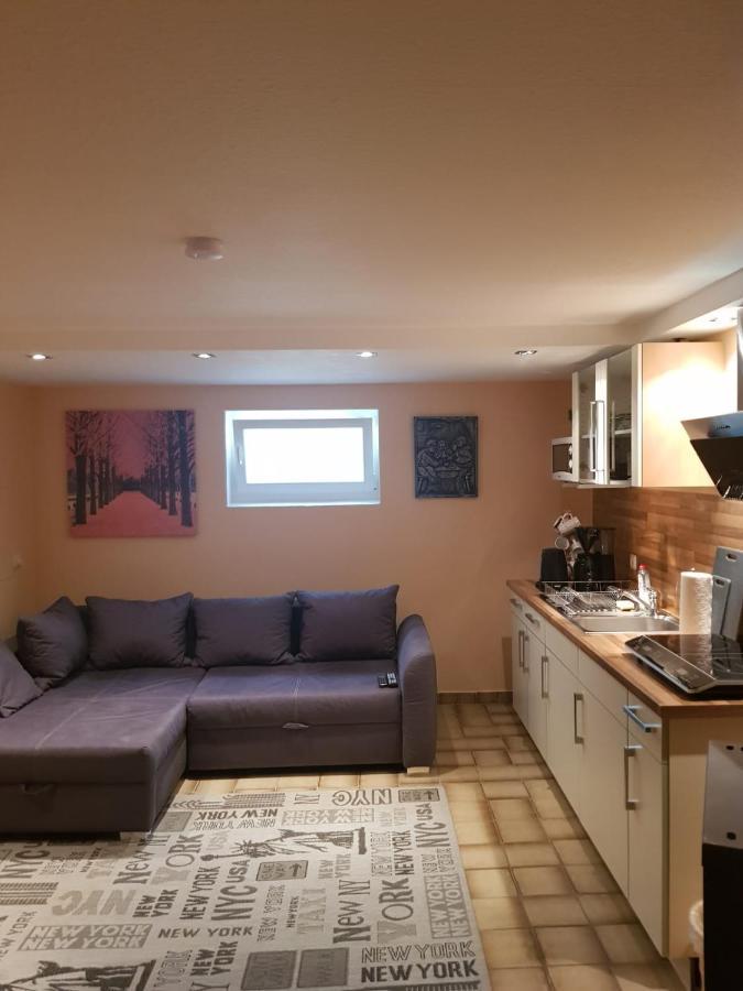 Gemuetliche Ferienwohnung Mit Kamin Und Sauna! Nistertal Luaran gambar